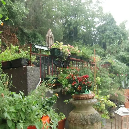 Mignon Отель Триест